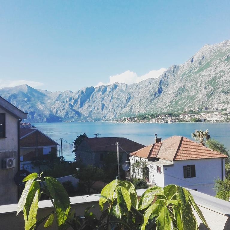 Apartmani Mizdrak Kotor Buitenkant foto